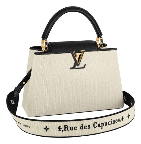 louis vuitton geanta capucino|louis vuitton capucines price.